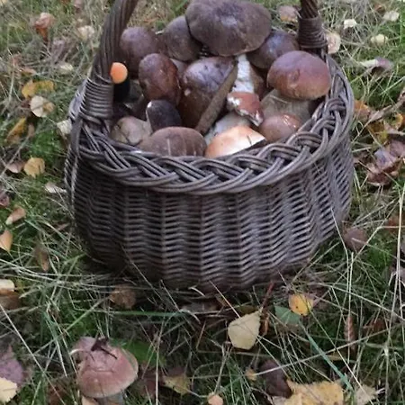 Przy Warszawskiej בית אירוח Połczyn-Zdrój